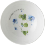 LAURA ASHLEY ZDJELA WILDFLOWERS 13 CM veronica