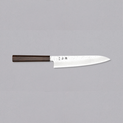 HAYABUSA GYUTO VG-10 210mm2